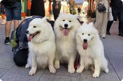 旅の思い出に