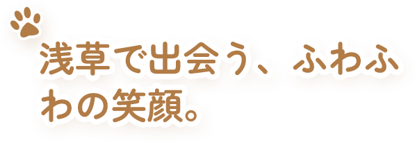 浅草で出会う、ふわふわの笑顔。