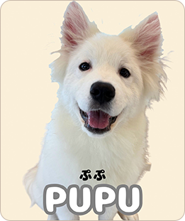 PUPU