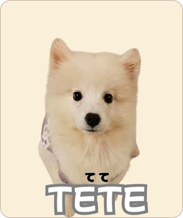 TETE