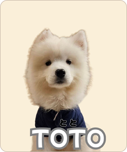 TOTO