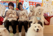抱っこ